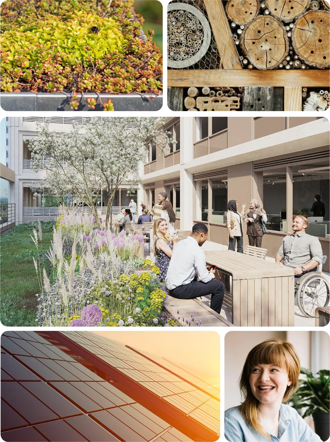 Green roof planting, an insect hotel, the landscaped terrace, solar panels and a smiling occupier